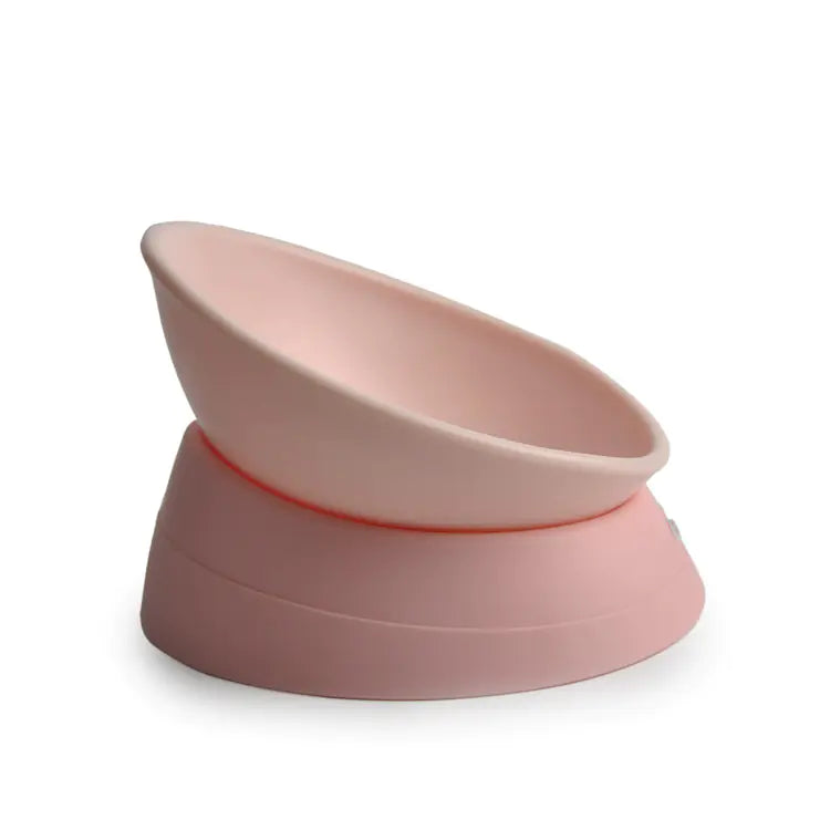 Non Slip Tilted Cat Bowl for Anti Whisker Fatigue